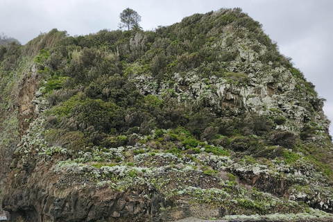 Madeira: Private Tour with Ruinas São Jorge and Cable Car