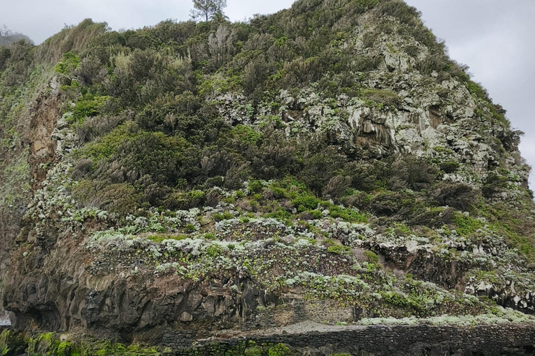 Madeira: Private Tour with Ruinas São Jorge and Cable Car