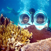 Phu Quoc: Snorkeling, Sea Walking, and Scuba Diving Tour Phu Quoc: Snorkeling, Sea Walking, and Scuba Diving Tour