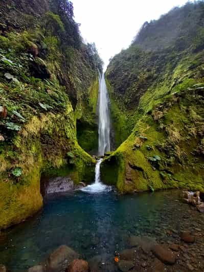 Bajos del Toro: excursión en cascada por un cañón del Poás. | GetYourGuide