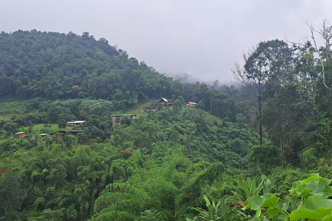 Chiang Mai: 2-dagars djungelvandring med elefantfarm och forsränning