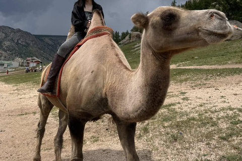 Mongolia: Genghis Khan Statue & Terelj National Park Tour