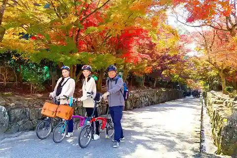 Tour in bicicletta nei campi di tè verde Matcha e nel patrimonio di Uji