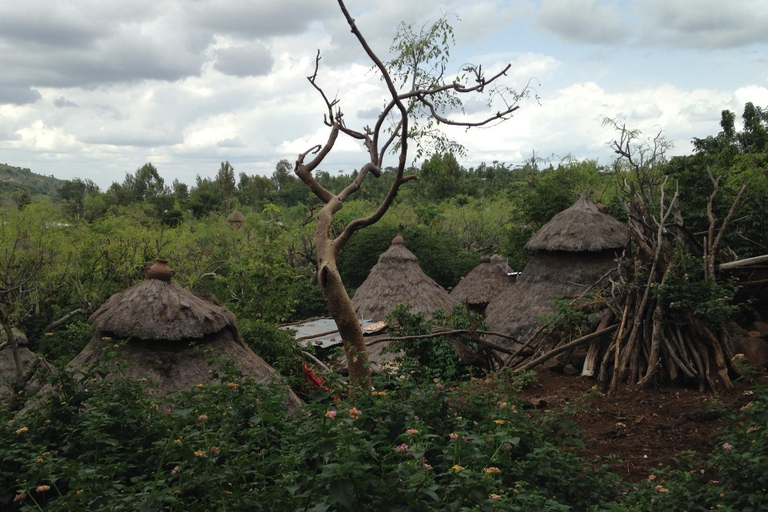 Addis Abeba: 4-dniowa wędrówka i wycieczka po nizinach Axum, Simien i Limalimo