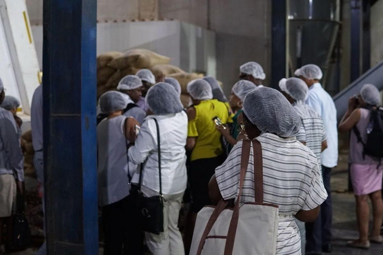 Accra: Excursión de degustación de chocolate ghanés