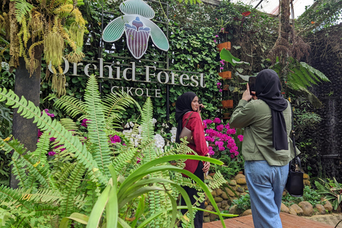 Bandung: Tour del vulcano Tangkuban Parahu e delle aree circostanti