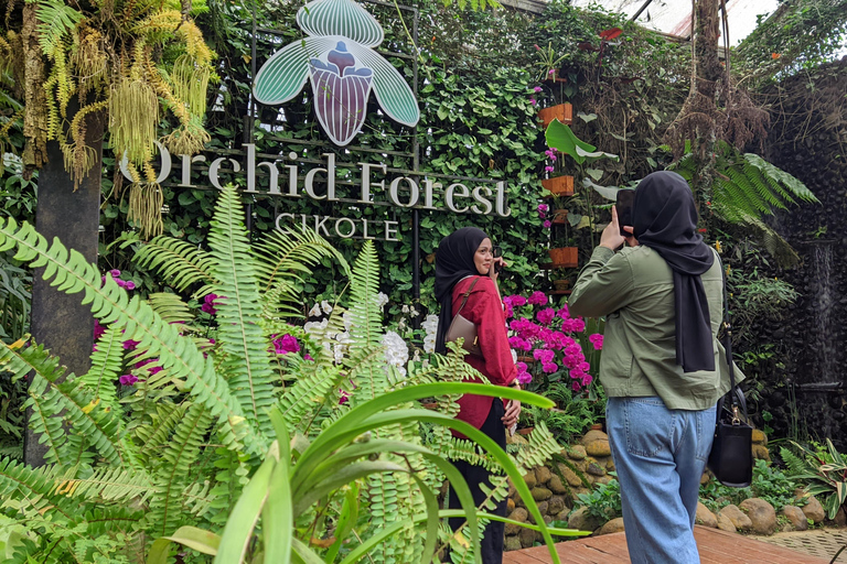 Bandung: Tour del vulcano Tangkuban Parahu e delle aree circostanti