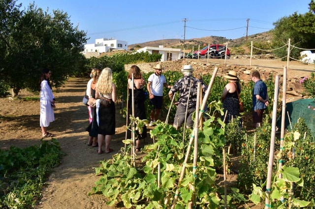 Naxos: Private Wine Tasting Tour