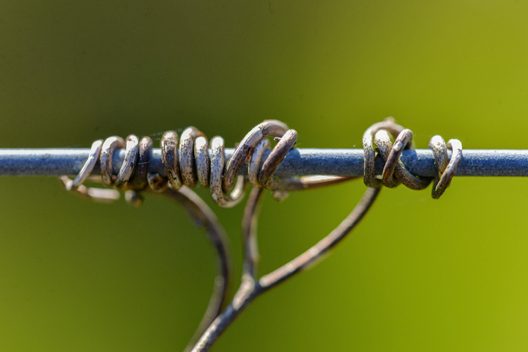 La Closerie de Fronsac: Classic Wine Tasting Tour La Closerie de Fronsac: Wine Tasting - Classic tour