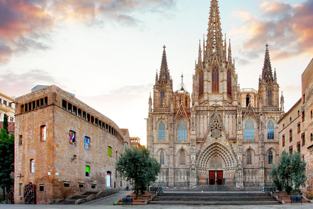 Cattedrale di Barcellona: Tour esclusivo a piedi e biglietti d'ingresso.