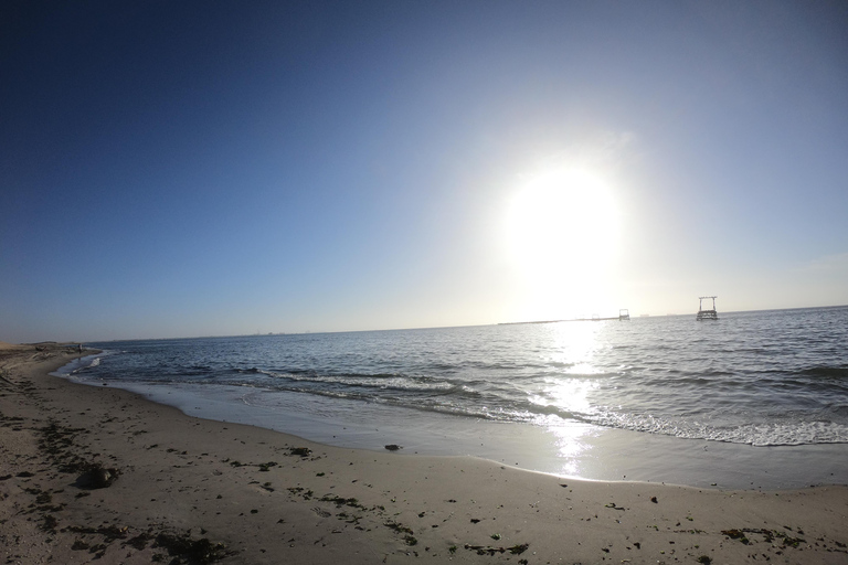 Swakopmund: Sunset Kayaking Tour with Hotel Pickup