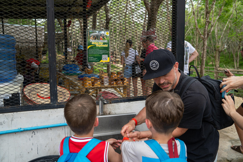 Khaolak Hightlight Jungle Trekking with Eco Guide Day Tour