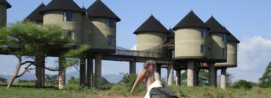 3 jours 2 nuits safari saltlick de diani/mombasa