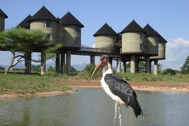 2 dagar 1 natt saltlick safari från Diani / Mombasa