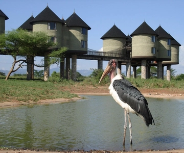 3 days 2 nights saltlick safari from diani/mombasa