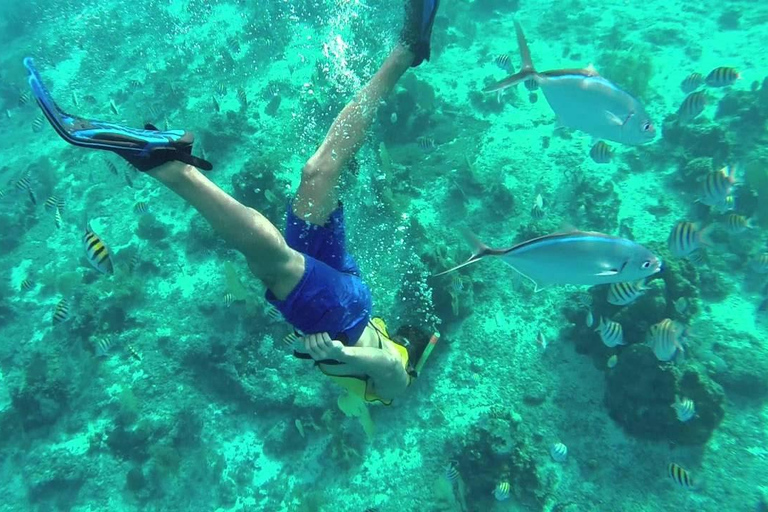 Private: Punta Cana to Catalina: Snorkeling, Beach & Buffet