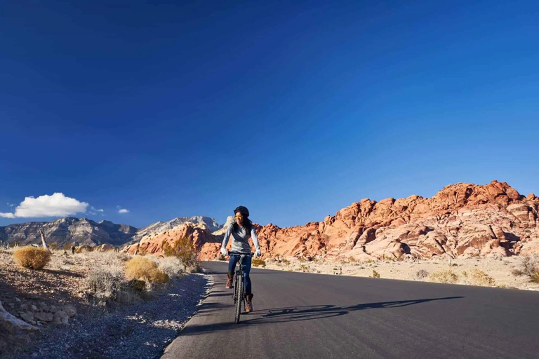 Moab: Adventure E-Bike Half-Day Rental