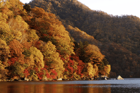 From Tokyo: Nikko UNESCO Shrine and Nature View Day Tour From Tokyo