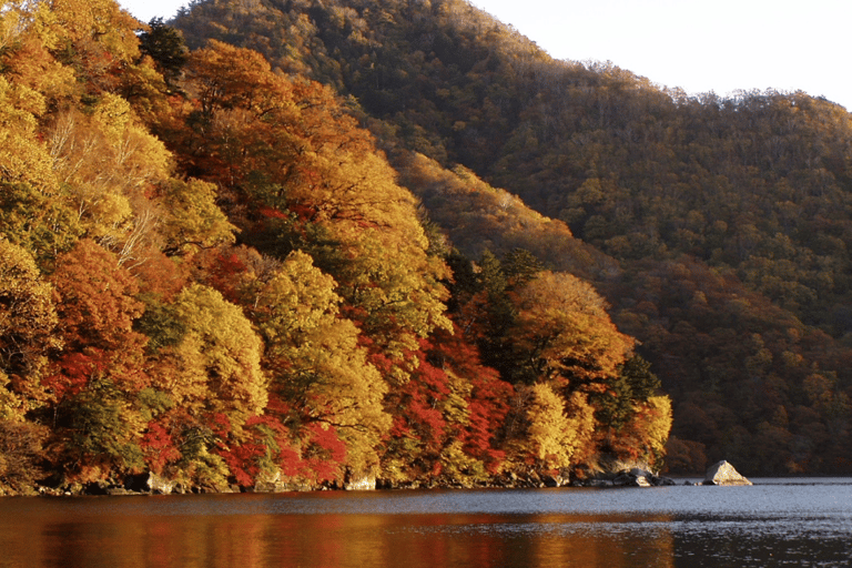 From Tokyo: Nikko UNESCO Shrine and Nature View Day Tour From Tokyo