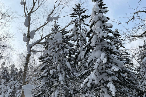 Shikotsu-Toya National Park: Guided Snowshoe Hike and Onsen Shikotsu-Toya National Park: Guided Snowshoe Hike and Onsen.