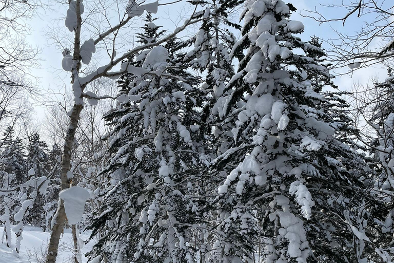 Shikotsu-Toya National Park: Guided Snowshoe Hike and Onsen Shikotsu-Toya National Park: Guided Snowshoe Hike and Onsen.