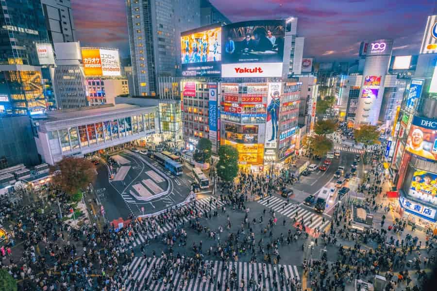Tokio: Luxuriöse private Ganztages-Städtetour mit dem Alphard. Foto: GetYourGuide
