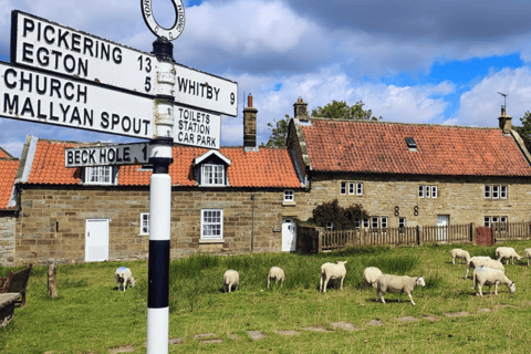 Private Castle Howard & North York Moors from York