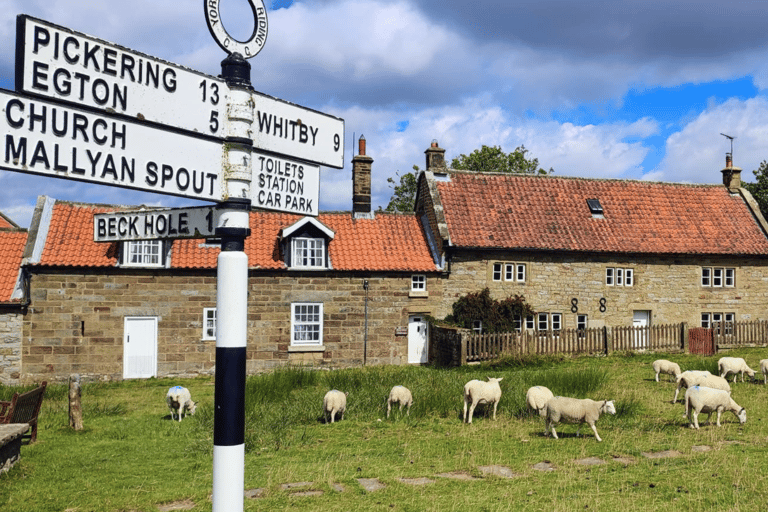 Private Castle Howard & North York Moors from York