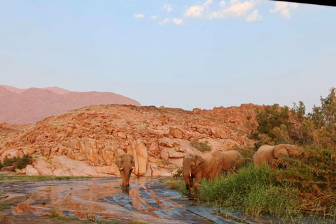 Damaraland: 3-Day Elephant &amp; Brandberg Adventure Tour