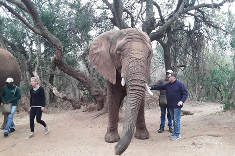 The Elephant and Monkey Sanctuary.