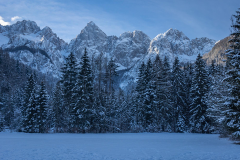 From Ljubljana/Bled: Winter Bohinj & Kranjska Gora Day Trip From Bled — Pickup at your accommodation