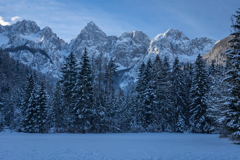 From Ljubljana/Bled: Winter Bohinj & Kranjska Gora Day Trip From Bled — Pickup at your accommodation
