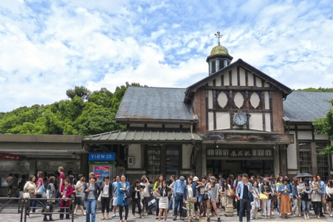 Città di Tokyo: Personalizza il tour di un giorno con autista che parla in inglese