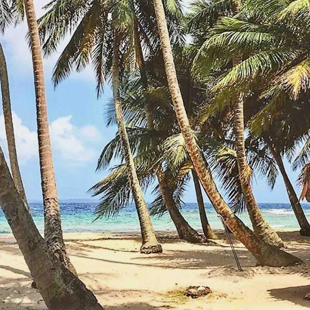 Galería de fotos para redes