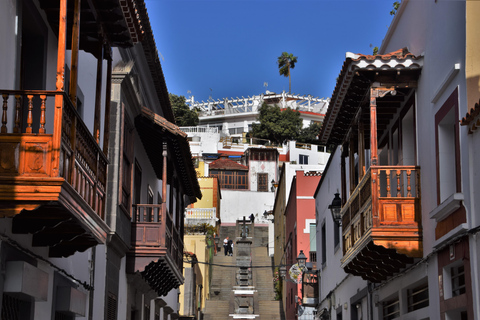 Gran Canaria Peaks in Minibus: Firgas, Teror, Aloe Vera tour Spanish - Picos de Gran Canaria Tour by Minibus