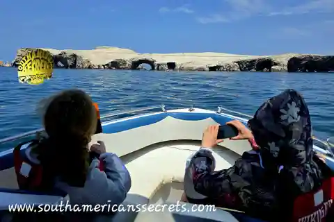 Da Paracas: tour delle Isole Ballestas tutto incluso