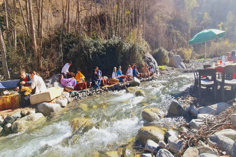 Tour di un giorno alla Valle dell&#039;Ourika e alle Montagne dell&#039;Atlante