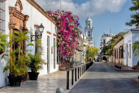 Tour de la ciudad colonial de Santo Domingo de día completo con almuerzo