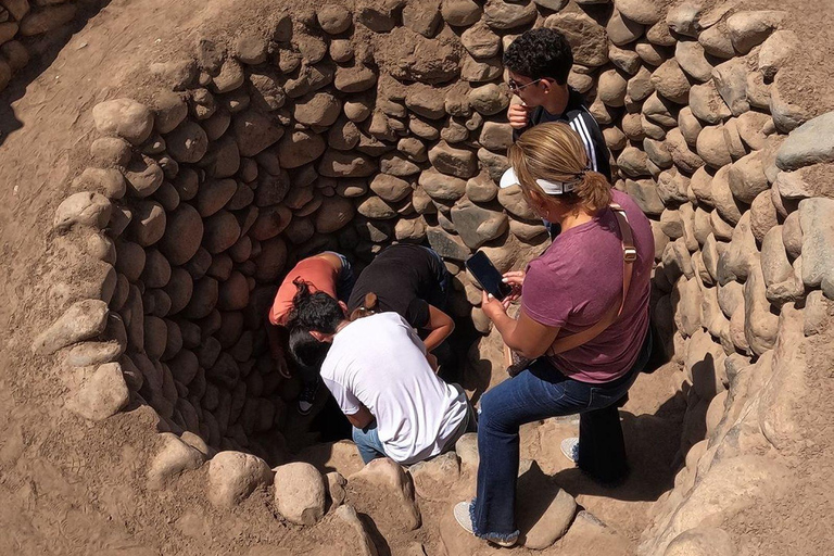 Nasca: Flight over Nazca lines + Cantalloc Aqueducts (Combo)