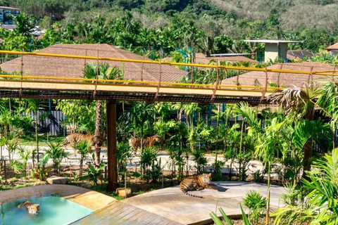 Canopy Forest Tiger Safari ATV Ride ,Feed Elephant Sanctuary Phuket: ATV Ride & Feeding Elephant Sanctuary