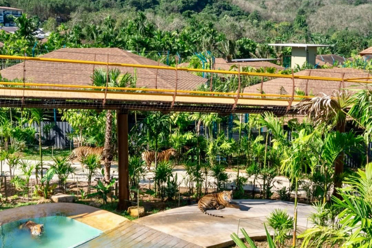 Canopy Forest Tiger Safari ATV Ride ,Feed Elephant Sanctuary Phuket: ATV Ride & Feeding Elephant Sanctuary