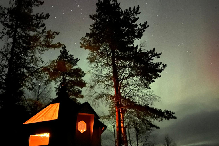 Levi: Private Sauna Experience, Dinner and Northern Lights