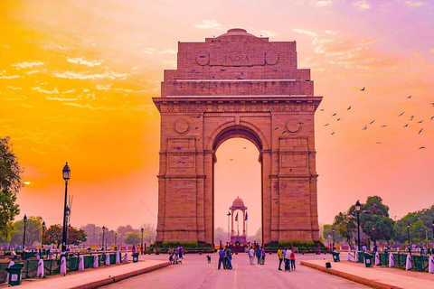 From Delhi: Golden Triangle & Ranthambore Tiger Safari Tour Only Tour Guide Services
