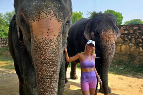 Elefun Elephant Sanctuary Tour in Jaipur