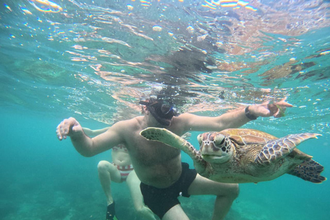 Mirissa Day Tour with Dolphins, Turtles & Beach Time Pick up from Colombo or Negombo City