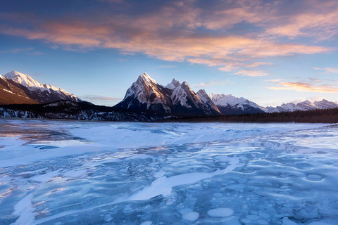Banff : Visite privée des Badlands avec le musée Royal Tyrrell