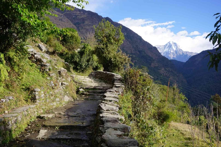 Pokhara : 4 jours de randonnée à Mulde View Point et Poon HillPokhara : 4 jours de randonnée à Muldai Poon Hill