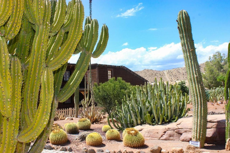 Tabernas: MiniHollywood Oasys Entry Ticket & Optional Buffet MiniHollywood Oasys Entry Ticket with Buffet