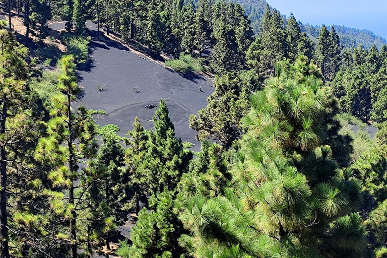 Tajogaite VIP Experience: Ruta Privada con Guía certificado y Dron