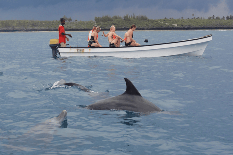 Zanzibar: Safari Blue Tour z nurkowaniem z rurką i lunchem z owocami morzaZanzibar: Wycieczka Safari Blue z nurkowaniem z rurką i lunchem z owocami morza